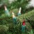 Northlight 100ct Red and Clear Mini String Christmas Light Set, 20.25ft Green Wire Perspective: back