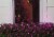 Northlight 4' x 6' Purple Incandescent Mini Net Style Christmas Lights - Green Wire Perspective: back