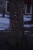Northlight 2' x 8' Blue LED Tree Trunk Wrap Christmas Net Lights - Brown Wire Perspective: back