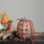 Northlight 10 Orange Bless the Harvest Pumpkin Fall Tabletop Decoration Perspective: back