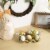 Northlight Pack of 6 Assorted Easter Eggs with Carton and Grass Decoration Perspective: back