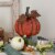 Northlight 8  Orange Carved Wood Fall Harvest Pumpkin Decoration Perspective: back