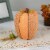 Northlight 10.5 Orange Autumn Harvest Thanksgiving Tall Pumpkin Perspective: back