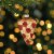 Northlight 4 Pepperoni Pizza Slice Glass Christmas Ornament Perspective: back