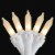 Northlight 50 Count Clear Frosted Mini Christmas Light Set, 24.5 ft White Wire Perspective: back