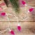 Northlight 25 Count Pink LED C9 Christmas Lights, 16 ft White Wire Perspective: back