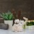 Northlight 14  Beige and Brown Plush Easter Bunny Rabbit Holding a Carrot Spring Figure Perspective: back