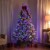 Northlight Real Touch™ Elite Pre-Lit Flocked Yukon Pine IPT Artificial Christmas Tree - 9' Perspective: back