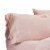 20 Inch Square Cotton Decorative Throw Pillow, Hand Trimmed, Blue, Beige Perspective: back