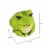 Cute Fat Frog Big Eyes Garden Flower Bed Decor Bright Green Bullfrog with Smile Perspective: back