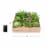 Faux Succulents  Assorted Lifelike Plastic Greenery Arrangement with 10 Inch Decorative Perspective: back