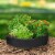 Gardens Alive! Raised Grow Tub Growing Bed Perspective: back