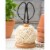 Gardens Alive! Twine and Scissors Kit Perspective: back