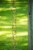 Garden's Alive Copper Rain Chain Perspective: back