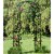 Gardens Alive! Decorative Bagatelle Outdoor Garden Arch Perspective: back