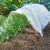 Gardens Alive! Large Super Lite Insect Barrier Perspective: back