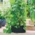 Gardens Alive! Grow Tub Growing Planter Perspective: back
