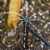 Gardens Alive! "The Dripster" Water Conserving Outdoor Drip Irrigation Kit Perspective: back