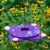 Gardens Alive! Purple Hanging Butterfly Feeder Perspective: back