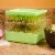 Gardens Alive! Two-Tiered Indoor Seed Sprouter with Seeds Gift Kit Perspective: back