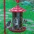 Gardens Alive! Raspberry Red Colored Backyard Bird Feeder Perspective: back