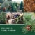 Yankee Candle® Balsam & Cedar Signature Large Jar Candle Perspective: back