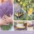 Yankee Candle® Pillar Jar Candle Lemon Lavender Perspective: back