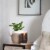 WoodWick® Tomato Leaf & Basil Large ReNew Candle Perspective: back