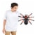 Zuru Robo Alive™ Giant Tarantula Robotic Pet Perspective: back