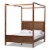 Baxton Studio Veronica Queen Size Walnut Finished Wood Platform Canopy Bed Perspective: back