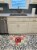 Carolines Treasures  CK5433RUG Sheba Guinea Pig Love Machine Washable Memory Foa Perspective: back