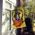 Carolines Treasures PPP3015CHF Beagle Halloweenie House Flag Perspective: back