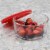 Home Basics Round 32 oz. Borosilicate Glass Food Storage Container with Red Lid Perspective: back