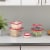 Home Basics 5 Piece Spill-Proof Square Plastic Food Storage Container, Red Perspective: back