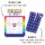 Big Dot of Happiness Love is Love LGBTQ Pride Bar Bingo Cards/Markers Shaped Bingo Game 18 Ct Perspective: back
