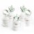 Big Dot of Happiness Boho Botanical Cupcake Toppers Greenery Party Clear Treat Picks Ct Perspective: back