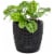 Pack Round Self Watering Pot Planter with Water Level Indicator, 8x8.5", Black Perspective: back