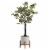 Faux Eucalyptus 34  Potted Tree Perspective: back