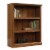 Pemberly Row 3 Shelf Bookcase in Washington Cherry Perspective: back