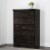 Bowery Hill Traditional 5-Drawer Wood Bedroom Chest in Rubbed Black Perspective: back