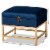 Bowery Hill Navy Blue Fabric and Gold Finished Metal Ottoman Perspective: back