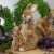 Northlight 14  Sisal Mommy and Baby Bunny Easter Figure Perspective: back