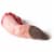 Beef Tongue (Lengua de Res) Perspective: back
