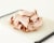 Jennie-O Hickory Smoked Cracked Pepper Turkey Breast Fresh Sliced Deli Meat Perspective: back