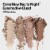 Revlon ColorStay Day To Night Eyeshadow Quad 500 Addictive Perspective: back