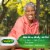 Polident Dental Appliance and Denture Brush Perspective: back