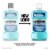 Listerine Ultraclean Antiseptic Mouthwash Cool Mint Oral Rinse with Everfresh Technology Perspective: back
