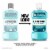 Listerine Cool Mint Antiseptic Mouthwash Perspective: back