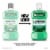 Listerine Freshburst Antiseptic Mouthwash Perspective: back