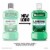 Listerine Antiseptic Mouthwash Freshburst Spearmint Flavor Daily Oral Rinse for Bad Breath Perspective: back